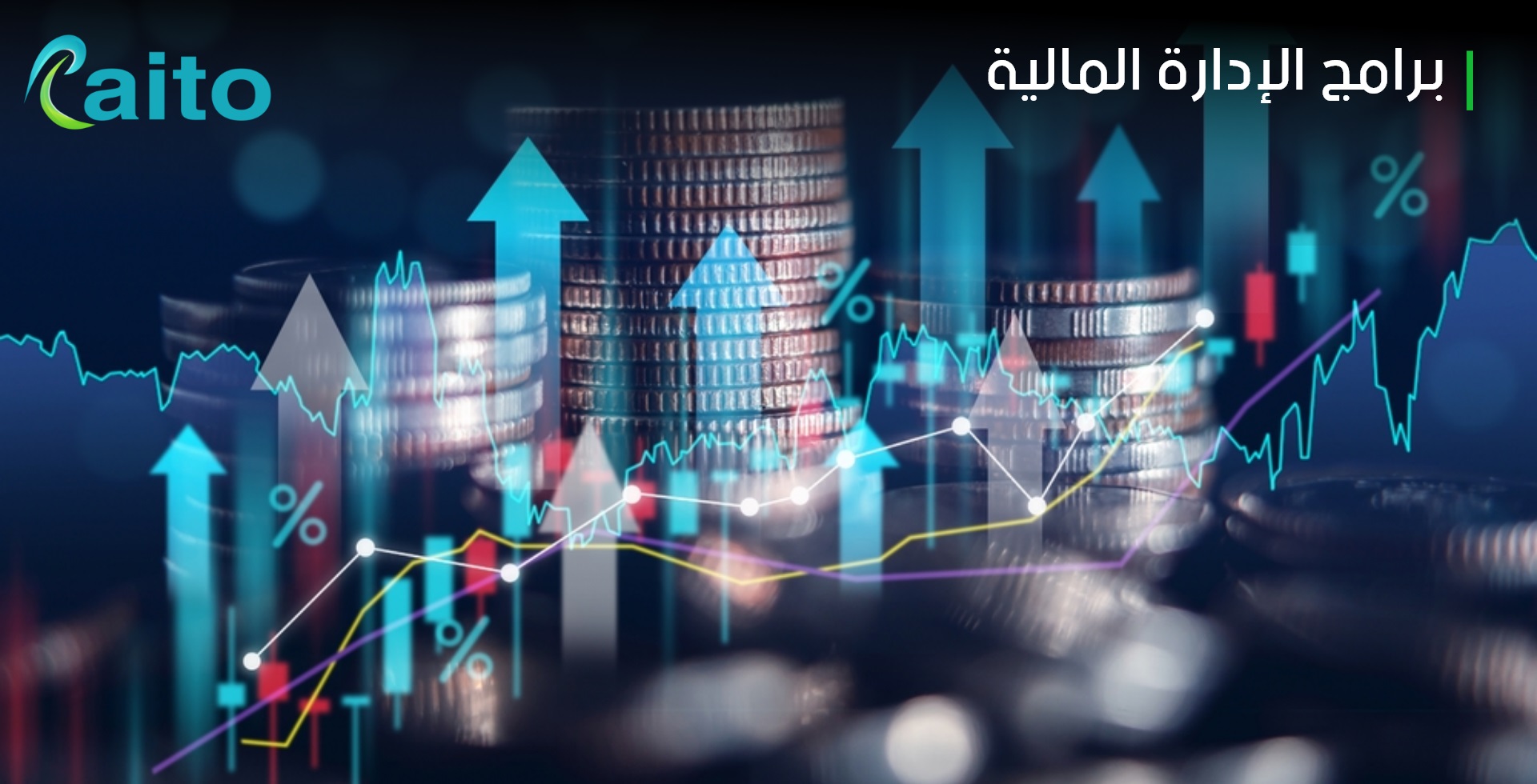 برامج الإدارة المالية ودورها لتحسين الإدارة المالية للشركات